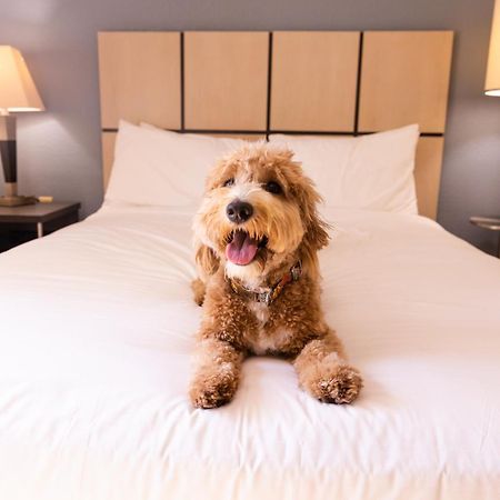 Sonesta Simply Suites Parsippany موريس بلينز المظهر الخارجي الصورة